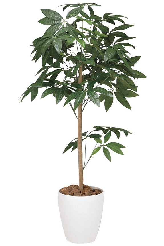 まるで本物の様な造花植物（アーティフィシャルフラワー）は、お店やオフィスの飾り、開店祝い、開業祝いの贈り物、プレゼントしてお薦めです。