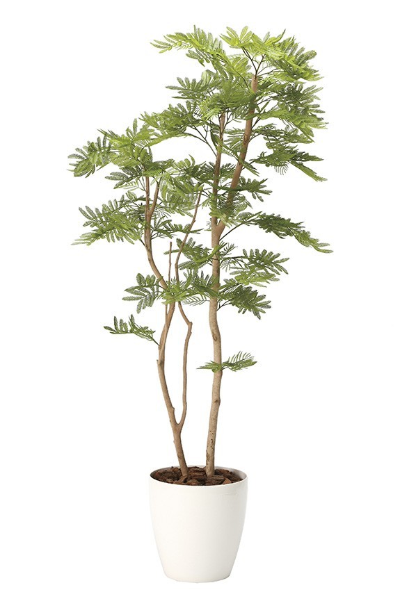 まるで本物の様な造花植物（アーティフィシャルフラワー）は、お店やオフィスの飾り、開店祝い、開業祝いの贈り物、プレゼントしてお薦めです。