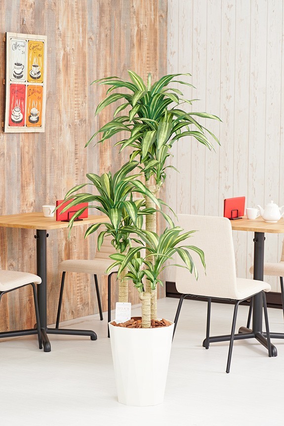 まるで本物の様な造花植物（アーティフィシャルフラワー）は、お店やオフィスの飾り、開店祝い、開業祝いの贈り物、プレゼントしてお薦めです。