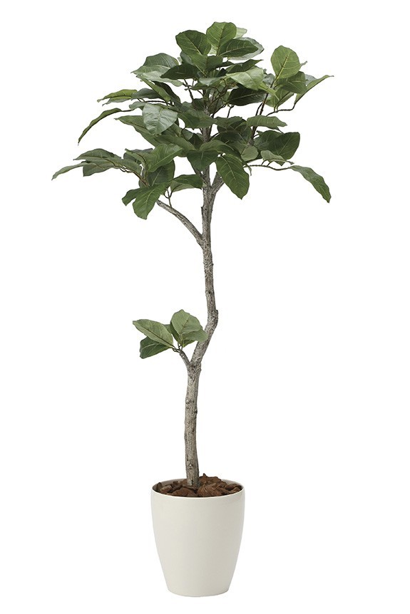 まるで本物の様な造花植物（アーティフィシャルフラワー）は、お店やオフィスの飾り、開店祝い、開業祝いの贈り物、プレゼントしてお薦めです。