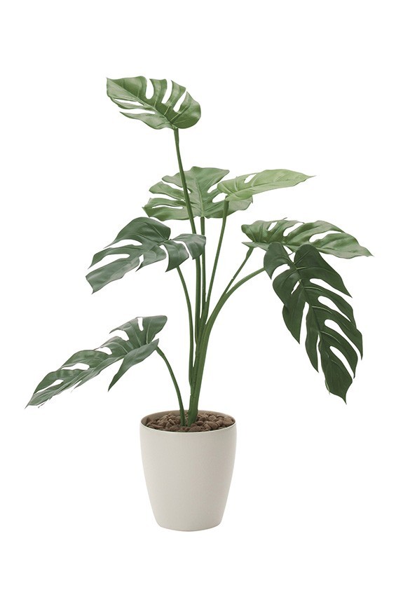 まるで本物の様な造花植物（アーティフィシャルフラワー）は、お店やオフィスの飾り、開店祝い、開業祝いの贈り物、プレゼントしてお薦めです。
