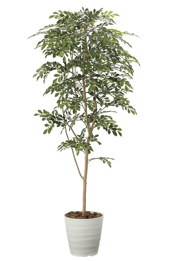 まるで本物の様な造花植物（アーティフィシャルフラワー）は、お店やオフィスの飾り、開店祝い、開業祝いの贈り物、プレゼントしてお薦めです。