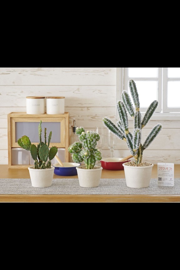 シンプルで場所を選ばず飾りやすい造花のサボテンを、3種セットでお届けする商品です。