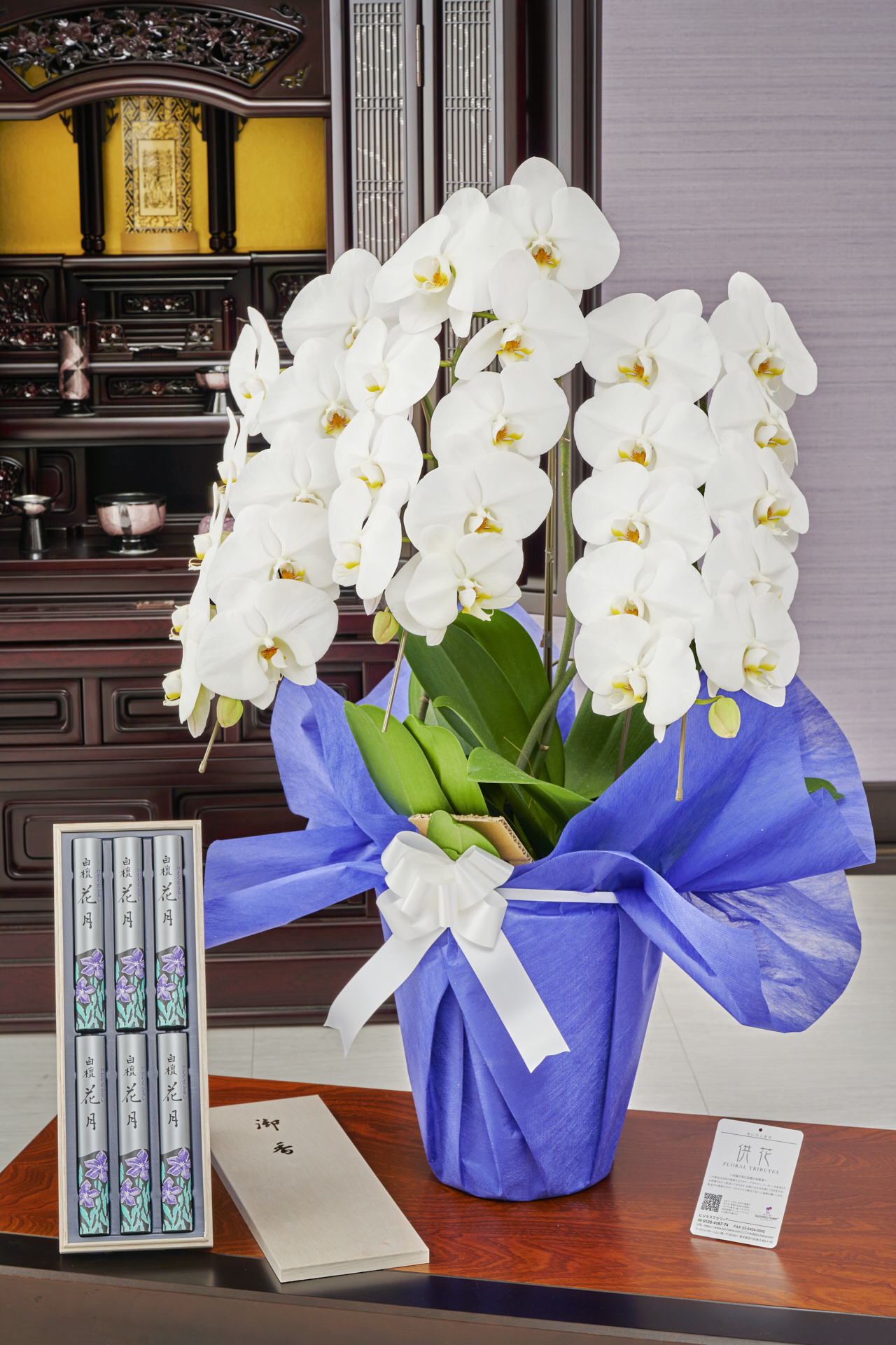 お供え用の大輪胡蝶蘭（コチョウラン）とお線香を一緒にお届けするお得なセット商品です。個人のご自宅宛てのご供花としては驚かれるほどの豪華なサイズの胡蝶蘭です。