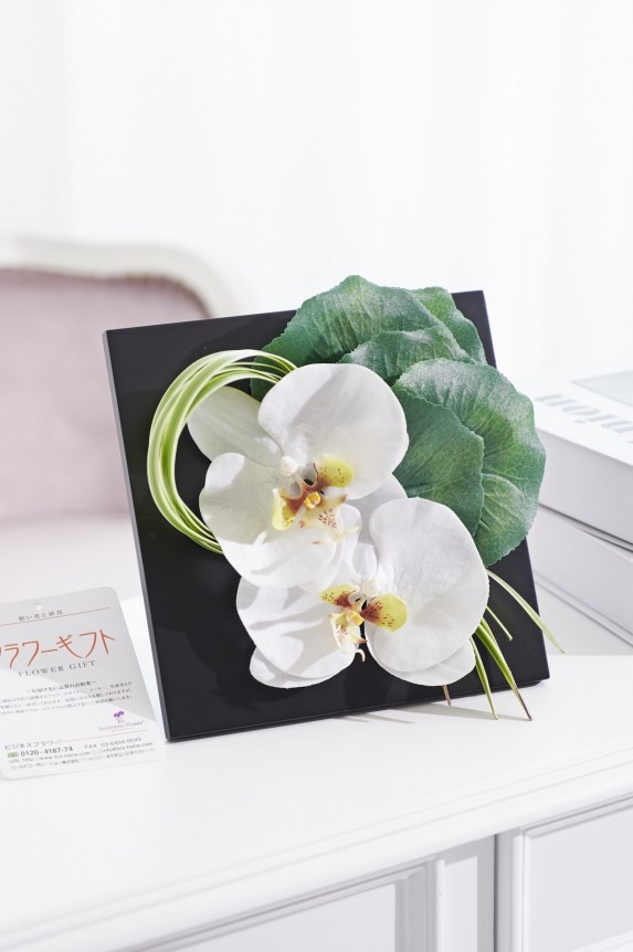 白い胡蝶蘭をあしらった造花アートアレンジメントです。