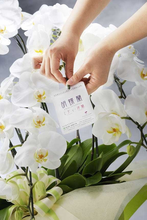 <p>万が一の際も安心！祝い花や供花を販売するネットの花屋ビジネスフラワー®の品質保証タグが付いています。</p>