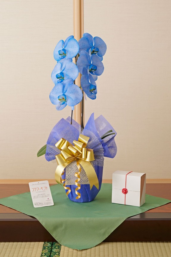 胡蝶蘭とカタログ（風呂敷包み）をセットでお届けいたします。