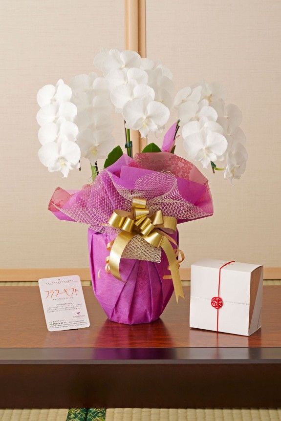 胡蝶蘭とカタログ（風呂敷包み）をセットでお届けいたします。