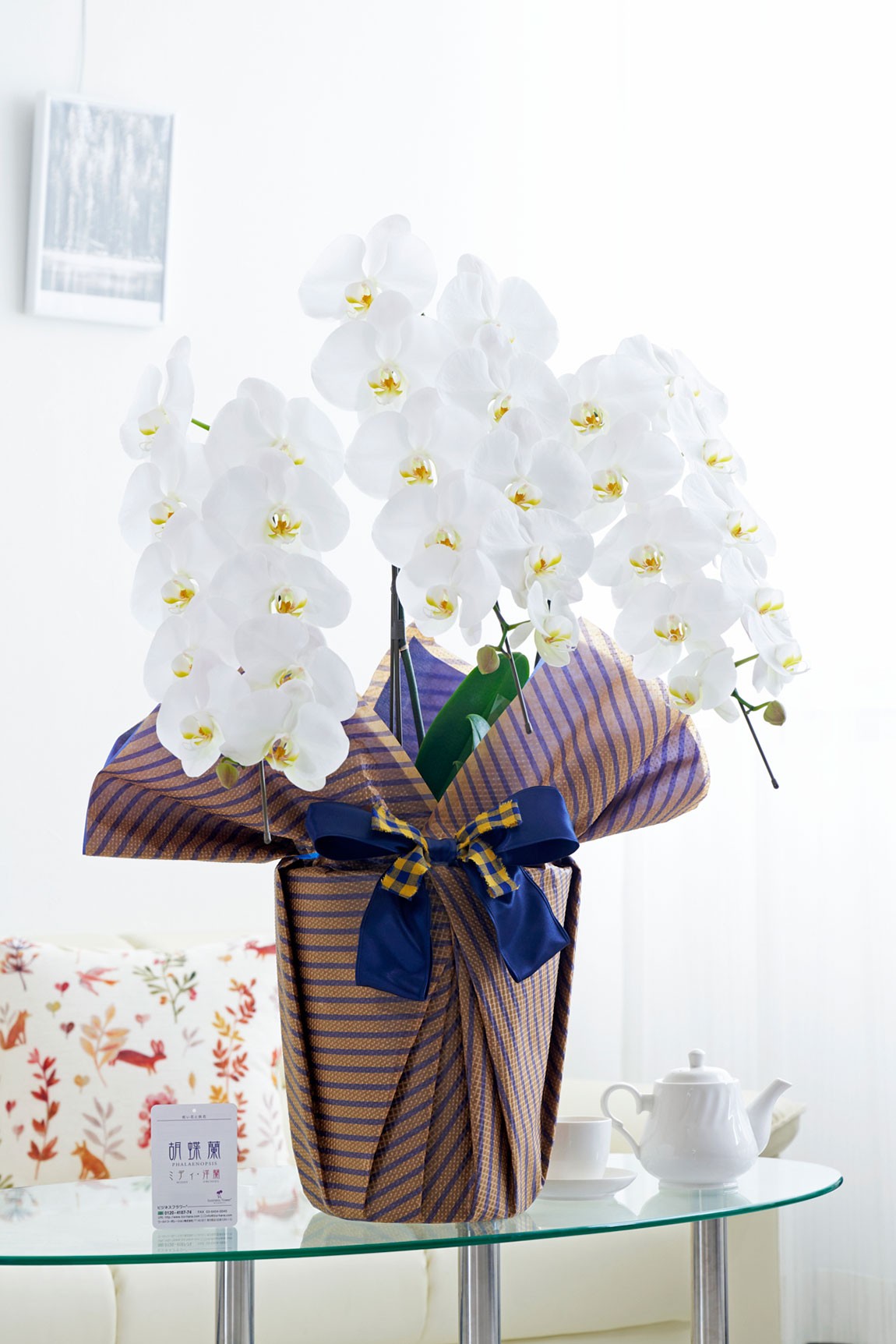通常の胡蝶蘭3本立よりもインパクトのあるこだわりラッピングとリボンが特徴の商品です。