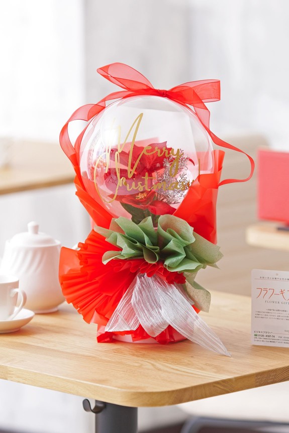 クリスマス期間限定の、バルーンの中にポインセチアが入ったお洒落なアレンジメントです。