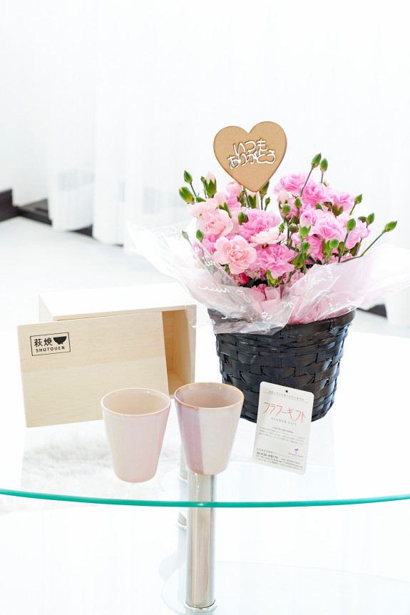 カーネーションの鉢植えに「いつもありがとう」の3D立体ピックを挿したお花と、老若男女問わず使用する事ができる萩焼のペアカップをセットにしたフラワーギフト用の商品です。