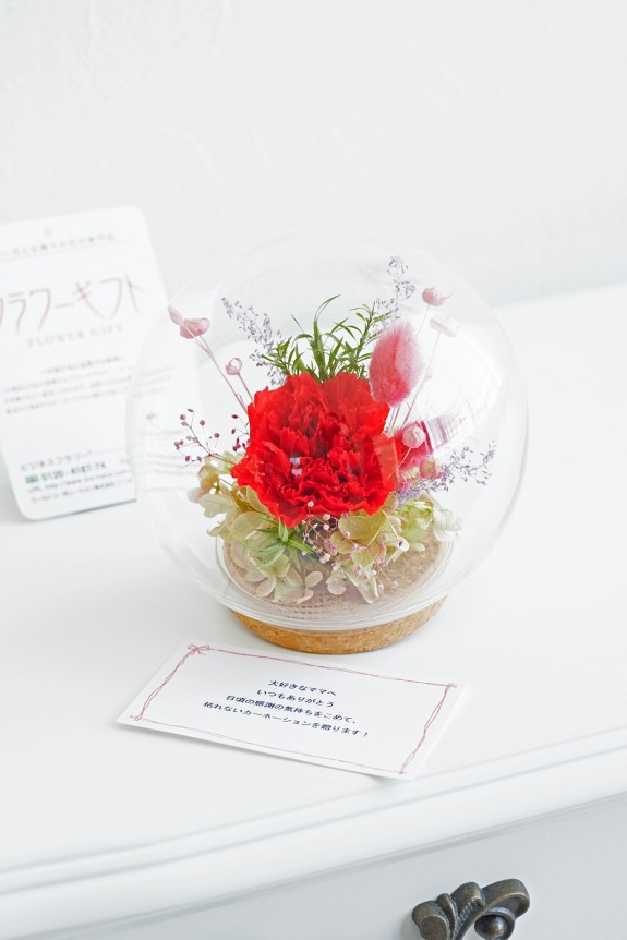 ガラスドームの中に、母の日の定番でもあるカーネーションを中心に仕立てたデザイナーズプリザーブドフラワー商品です。
