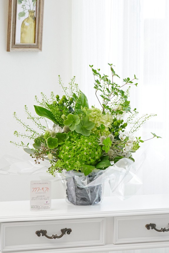 梅雨の代名詞ともいえるお花である紫陽花（アジサイ）を用いて仕立てるアレンジメントフラワーです。