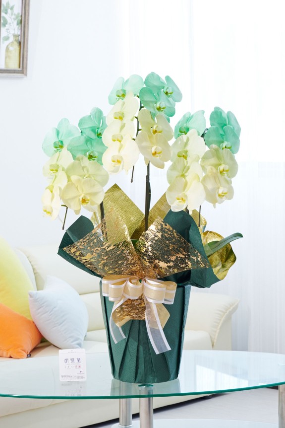 祝い花や供花を販売するネットの花屋ビジネスフラワー®では、満開の胡蝶蘭（大輪）を特殊な塗料で装飾した高級感漂う逸品が「カラー胡蝶蘭彩（irodori）」シリーズを販売しています。