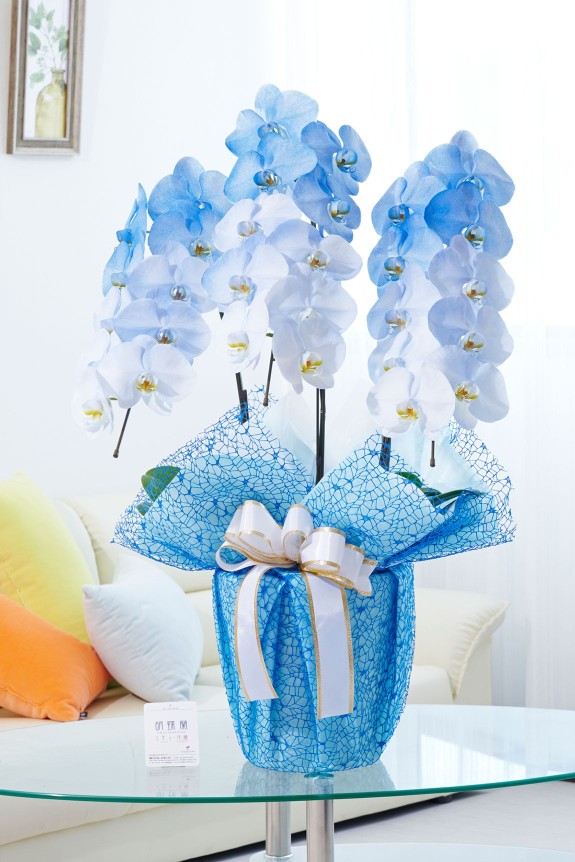 祝い花や供花を販売するネットの花屋ビジネスフラワー®では、満開の胡蝶蘭（大輪）を特殊な塗料で装飾した高級感漂う逸品が「カラー胡蝶蘭彩（irodori）」シリーズを販売しています。