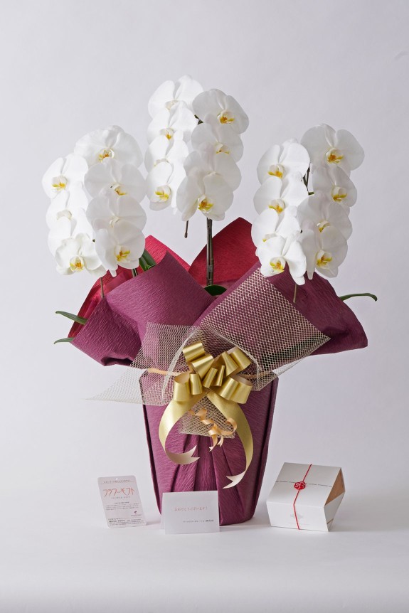 <p>カタログギフト本体は上品な風呂敷で包んだ状態でのお届けとなります。</p>