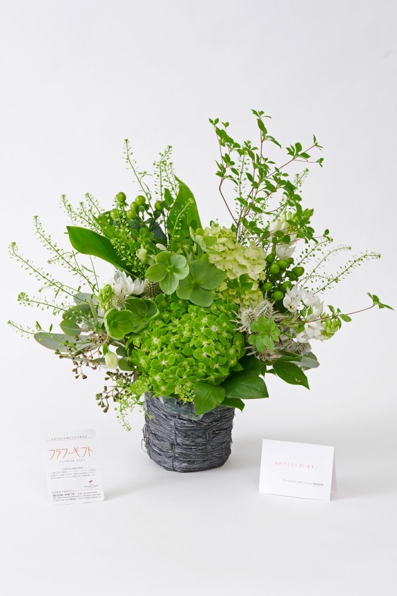 <p>メッセージカードを1枚無料でお付けすることができます。</p>