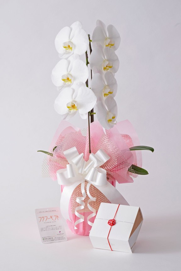 <p>カタログギフト本体は上品な風呂敷で包んだ状態でのお届けとなります。</p>