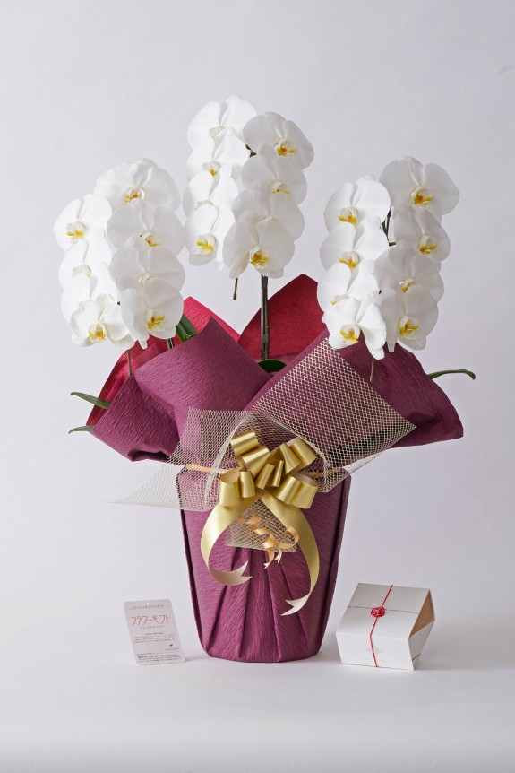 <p>カタログギフト本体は上品な風呂敷で包んだ状態でのお届けとなります。</p>