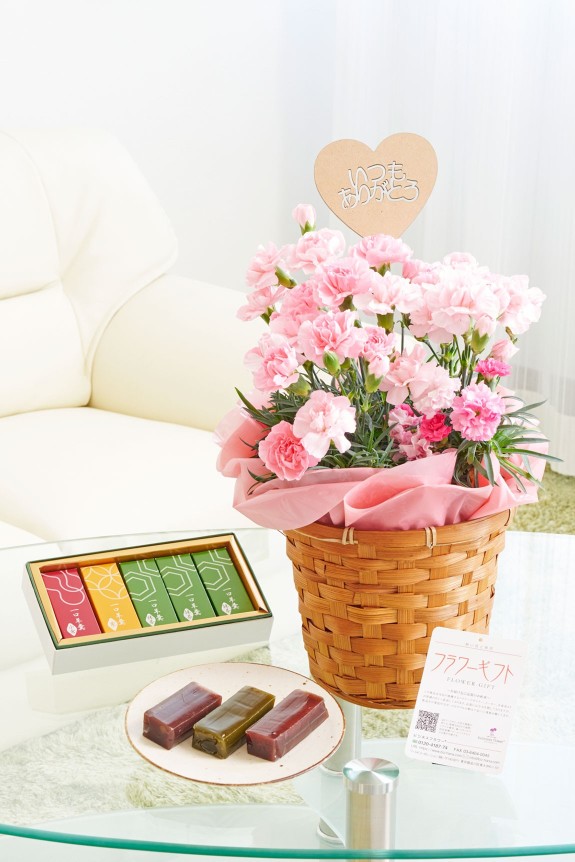 母の日定番のカーネーションの鉢植えと京都宇治のお茶屋さんのこだわり羊羹