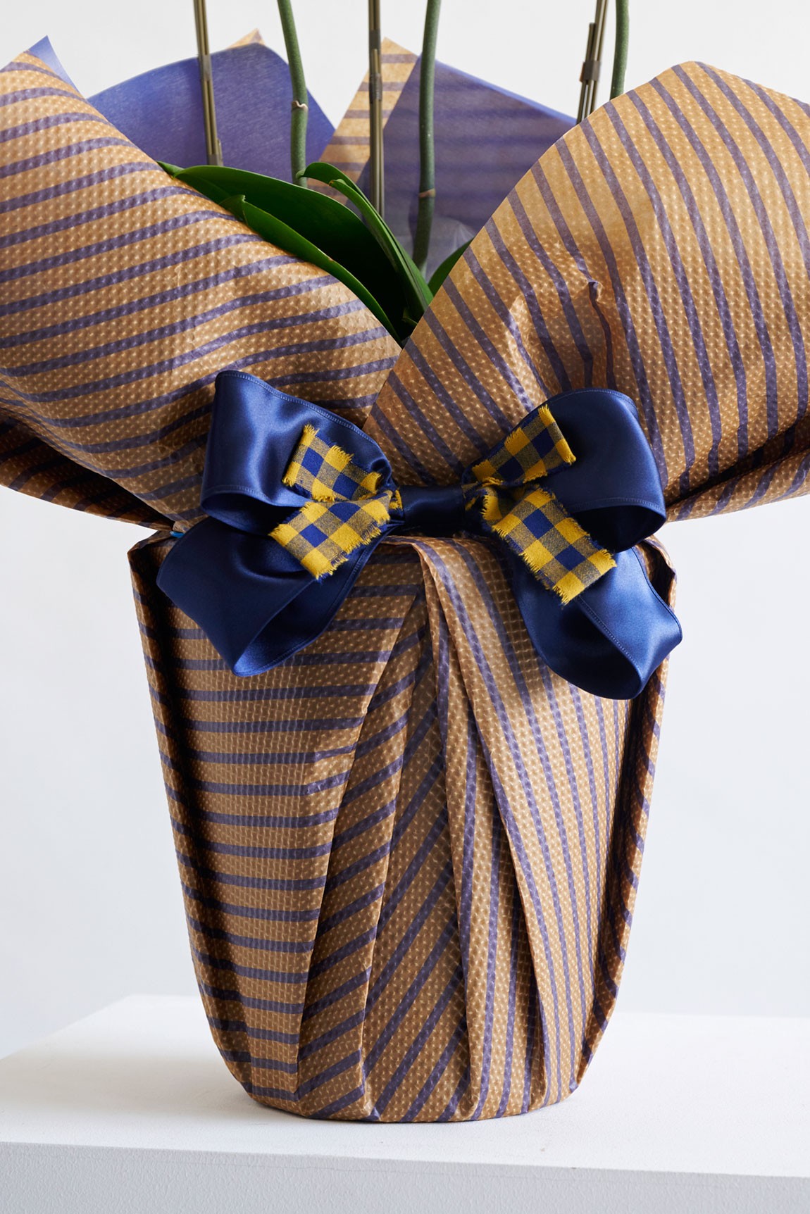 <p>［スーツストライプ］
お洒落なストライプスーツと蝶ネクタイを模し、スマートな紳士らしさをイメージしたラッピングです。就任祝いや式典祝い、開業祝いなどにもお薦めです。</p>