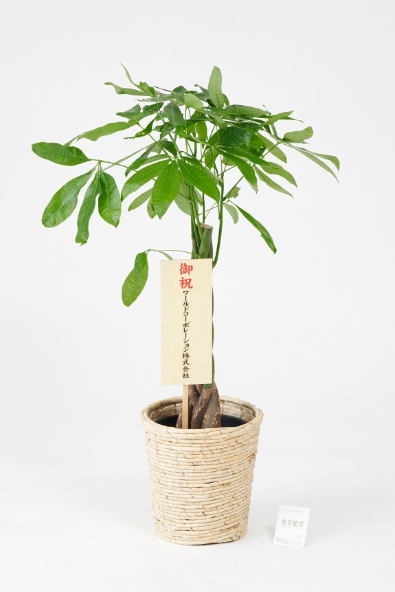 <p>立札またはメッセージカードをお付けできます。</p>