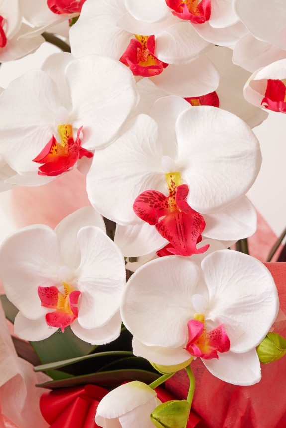 <p>造花の商品ですが、花の感じ、根っこ、葉なども生花そっくりです。配送中の気温による生花の劣化が懸念される真夏や真冬の贈答品にも適しております。</p>
