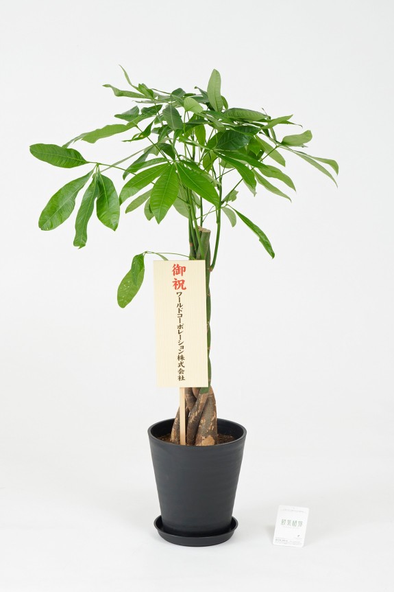 <p>立札をお付けできます（無料）</p>