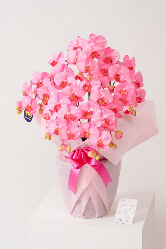 <p>同規格（サイズ）の生花に比べ割安なのも購入するメリットと言えます。</p>