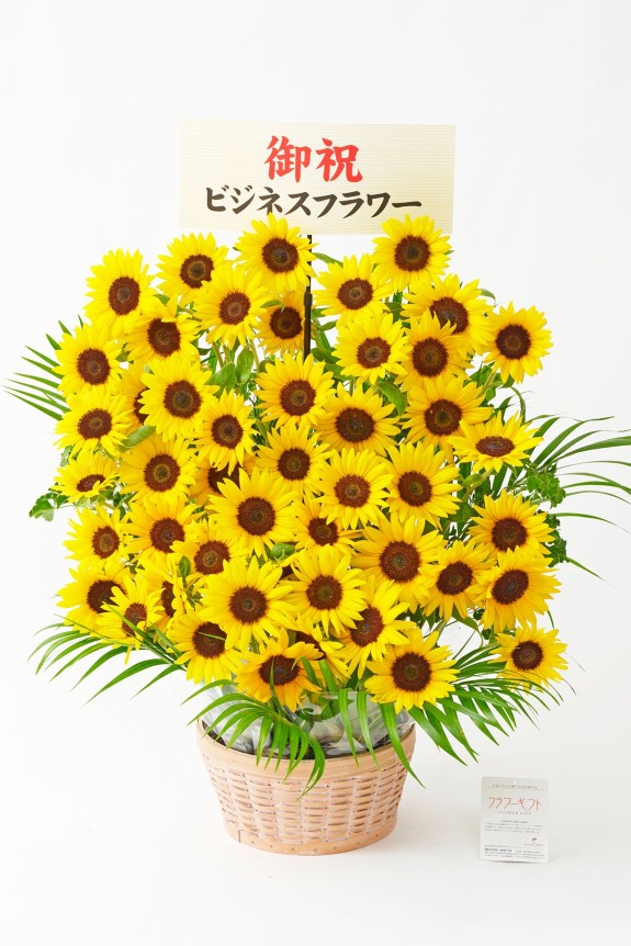 <p>もちろん、向日葵（ヒマワリ）のアレンジメントフラワーにも立札またはメッセージカードを無料でお付けする事ができます。</p>