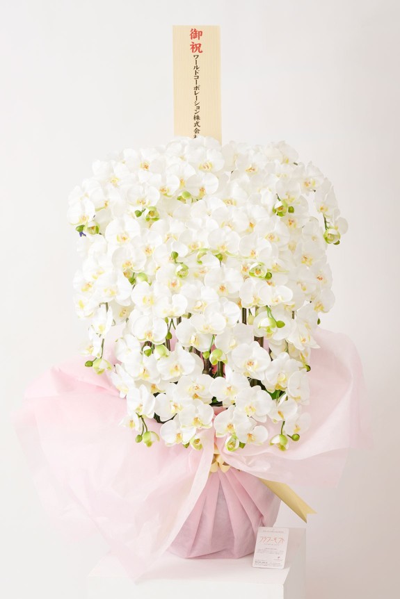 <p>同規格（サイズ）の生花に比べ割安なのも購入するメリットと言えます。</p>