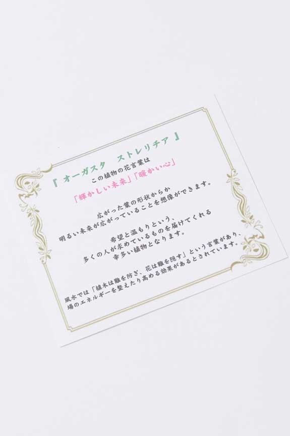 <p>縁起の良い観葉植物の花言葉（メッセージ性）を伝える「花言葉カード」が付いています。</p>