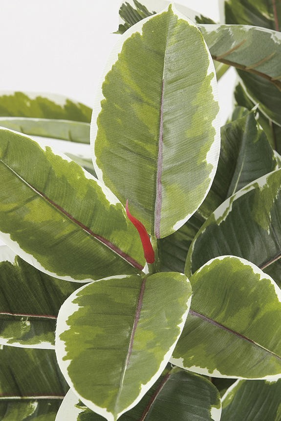 <p>まるで本物の様な造花植物（アーティフィシャルフラワー）は、お店やオフィスの飾り、開店祝い、開業祝いの贈り物、プレゼントしてお薦めです。</p>