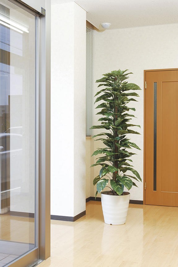<p>まるで本物の様な造花植物（アーティフィシャルフラワー）は、お店やオフィスの飾り、開店祝い、開業祝いの贈り物、プレゼントしてお薦めです。</p>