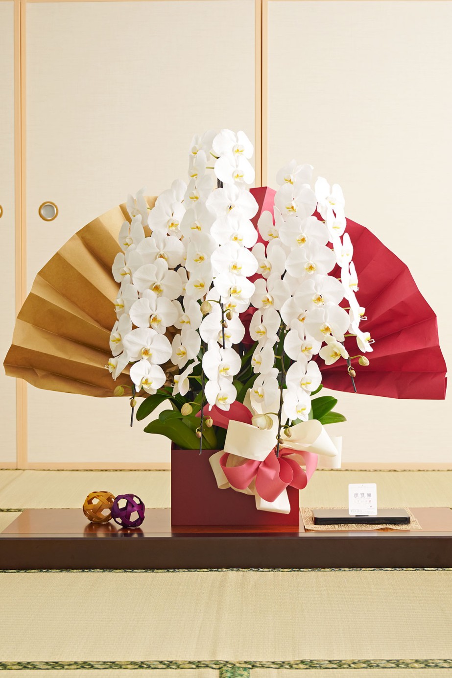 鉢や支柱なども可燃ごみとして処分ができる環境問題とお届け先の処分の手間に配慮した5本立ちの白色の胡蝶蘭です。