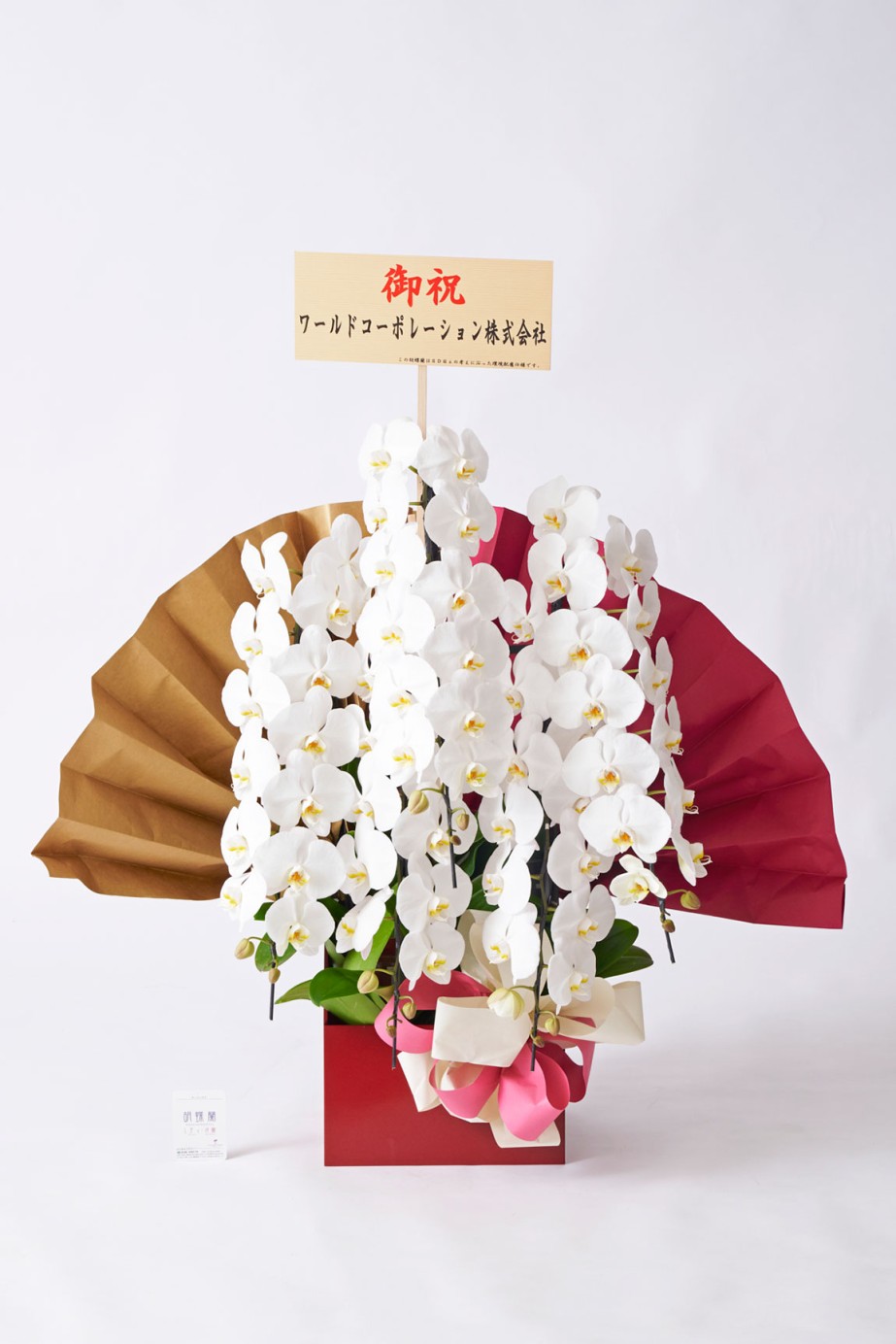 <p>胡蝶蘭大輪商品には、無料で立札を1枚お付けしております。</p>