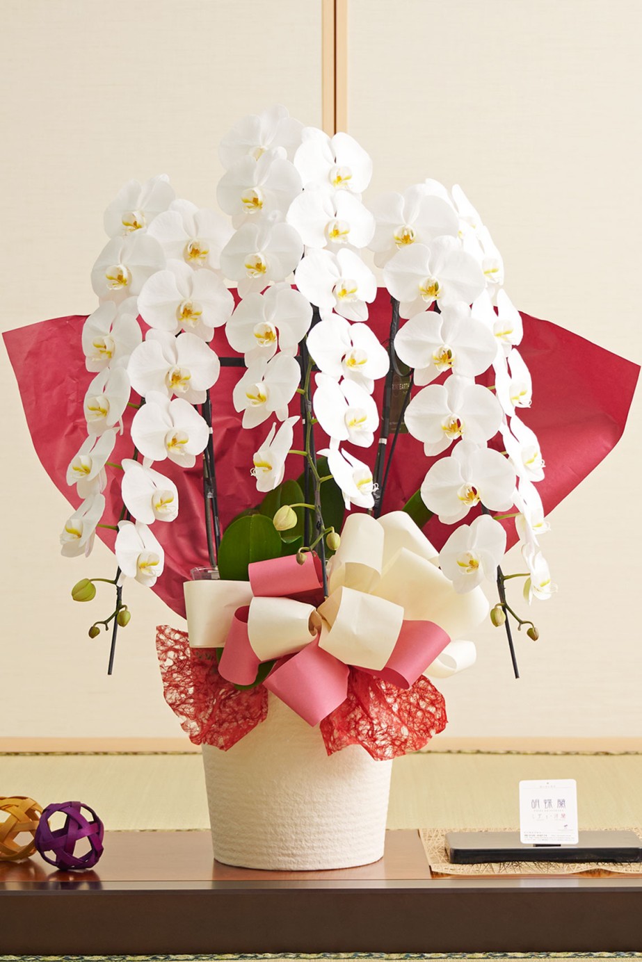 鉢や支柱なども可燃ごみとして処分ができる環境問題とお届け先の処分の手間に配慮した3本立ちの白色の胡蝶蘭です。