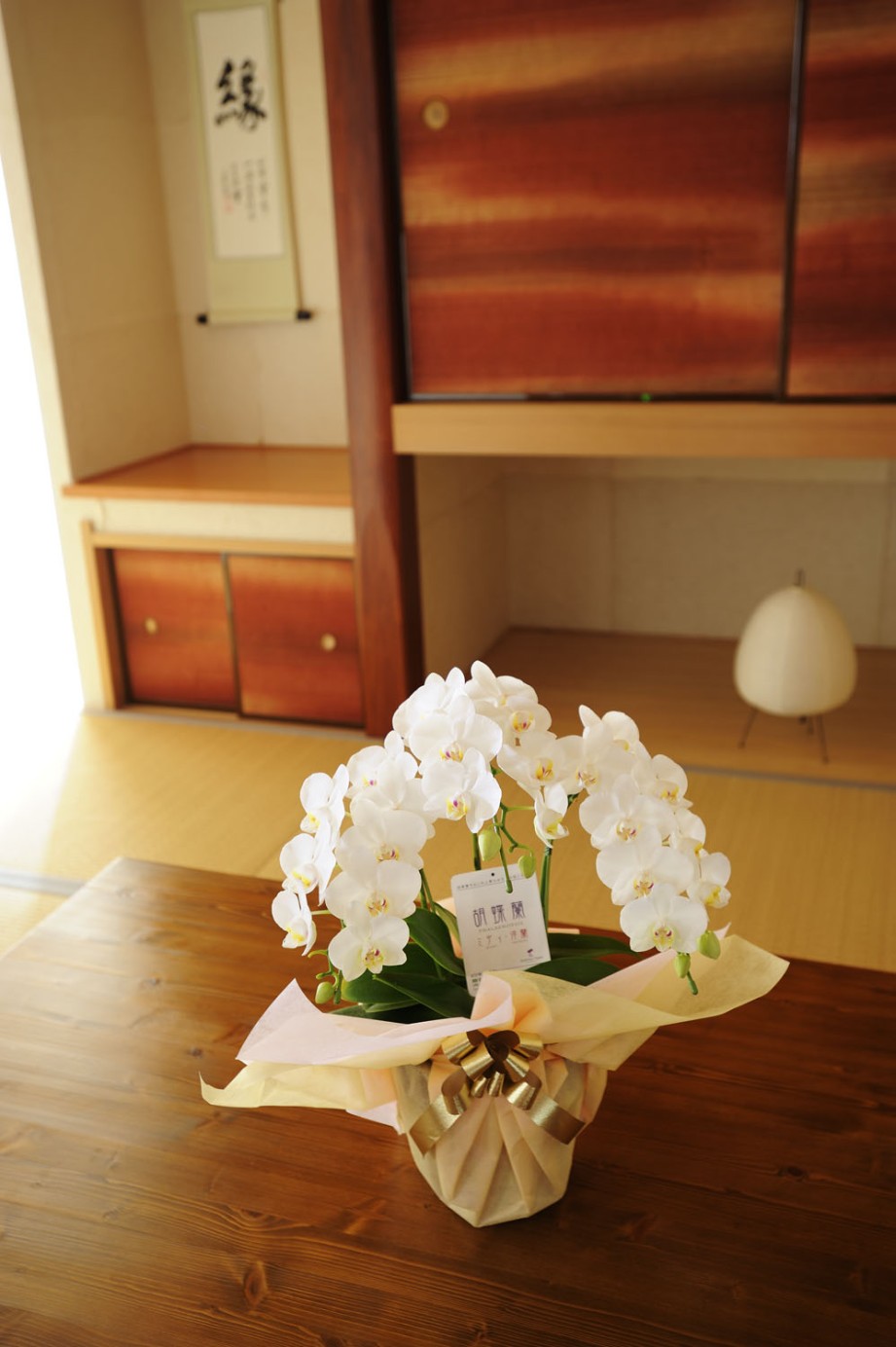 <p>母の日や長寿のお祝いに、可愛らしい贈り物で大変喜ばれます。</p>