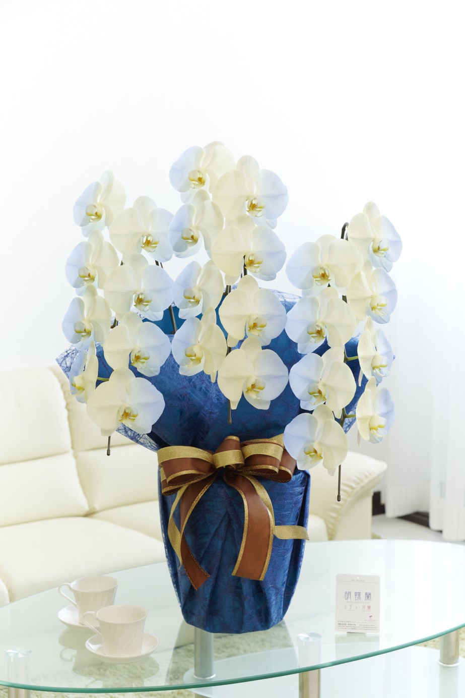 祝い花や供花を販売するネットの花屋ビジネスフラワー®では、満開の胡蝶蘭（大輪）を特殊な塗料で装飾した高級感漂う逸品が「カラー胡蝶蘭彩（irodori）」シリーズを販売しています。