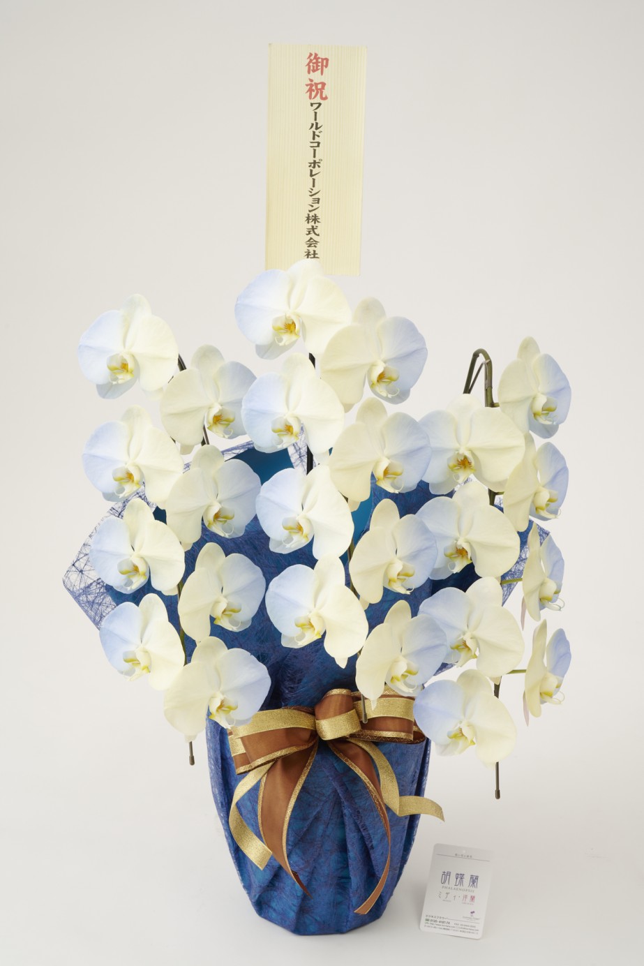 <p>胡蝶蘭大輪商品には、無料で立札またはメッセージカードをお付けしております。</p>