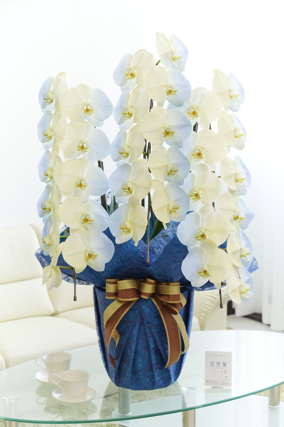 祝い花や供花を販売するネットの花屋ビジネスフラワー®では、満開の胡蝶蘭（大輪）を特殊な塗料で装飾した高級感漂う逸品が「カラー胡蝶蘭彩（irodori）」シリーズを販売しています。