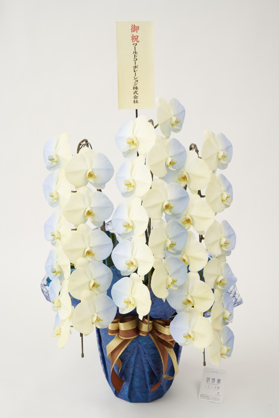 <p>胡蝶蘭大輪商品には、無料で立札またはメッセージカードをお付けしております。</p>