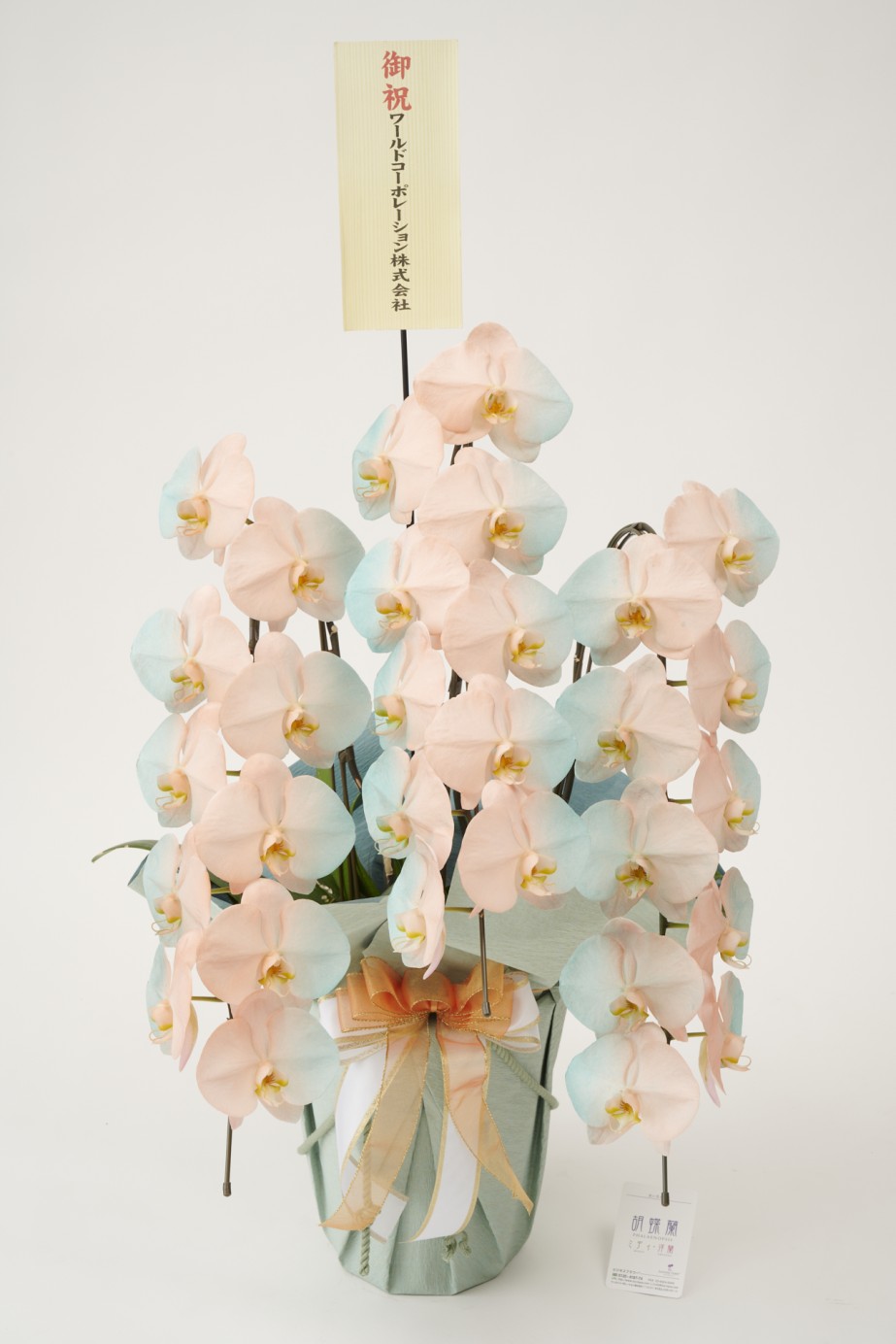 <p>胡蝶蘭大輪商品には、無料で立札またはメッセージカードをお付けしております。</p>