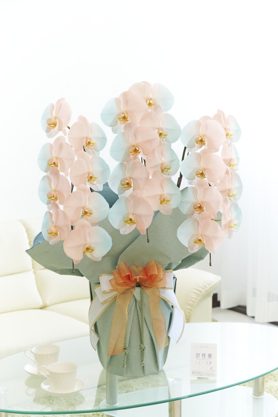 祝い花や供花を販売するネットの花屋ビジネスフラワー®では、満開の胡蝶蘭（大輪）を特殊な塗料で装飾した高級感漂う逸品が「カラー胡蝶蘭彩（irodori）」シリーズを販売しています。