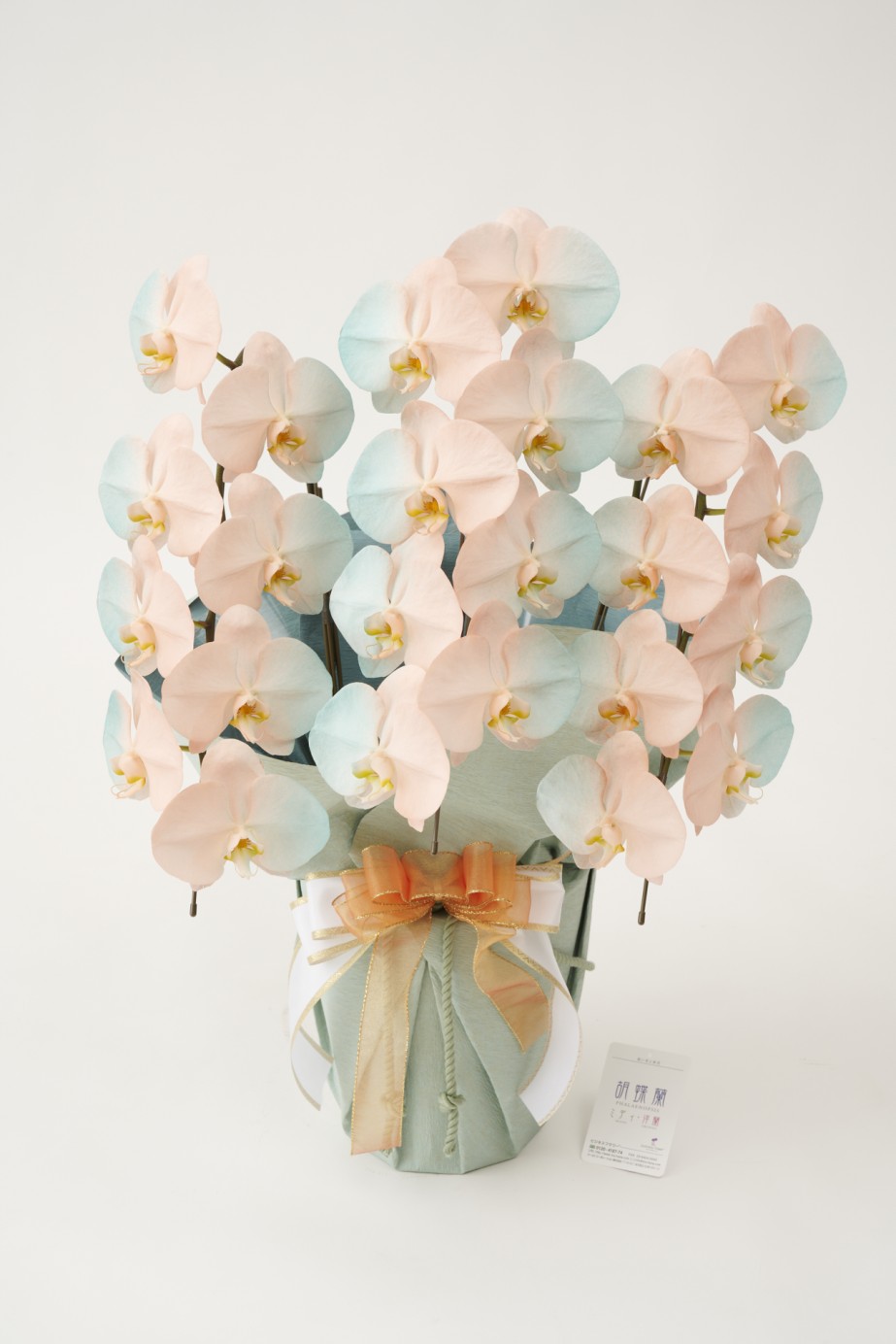 <p>花びらに塗装を施している為、お届け時点が最高の咲き誇り時期、見頃の状態となっているのが魅力的で、開店祝い、開業祝い、就任祝いなどのお祝い花として人気があります。</p>