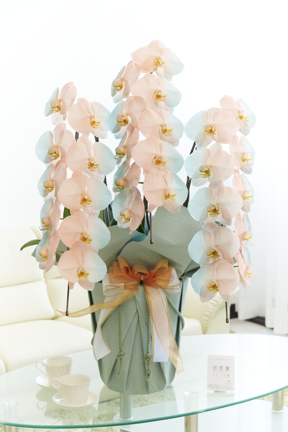 祝い花や供花を販売するネットの花屋ビジネスフラワー®では、満開の胡蝶蘭（大輪）を特殊な塗料で装飾した高級感漂う逸品が「カラー胡蝶蘭彩（irodori）」シリーズを販売しています。