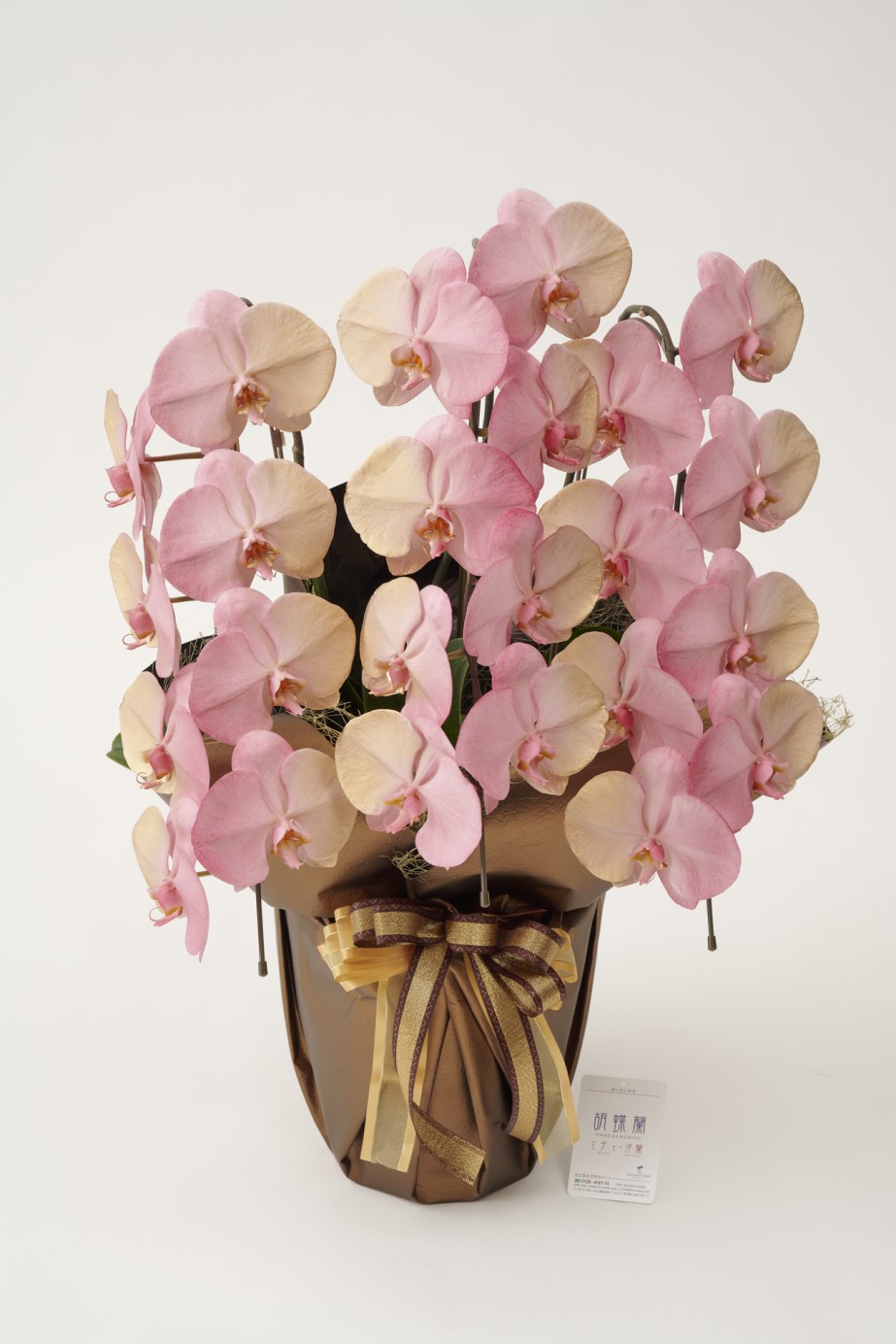 <p>花びらに塗装を施している為、お届け時点が最高の咲き誇り時期、見頃の状態となっているのが魅力的で、開店祝い、開業祝い、就任祝いなどのお祝い花として人気があります。</p>