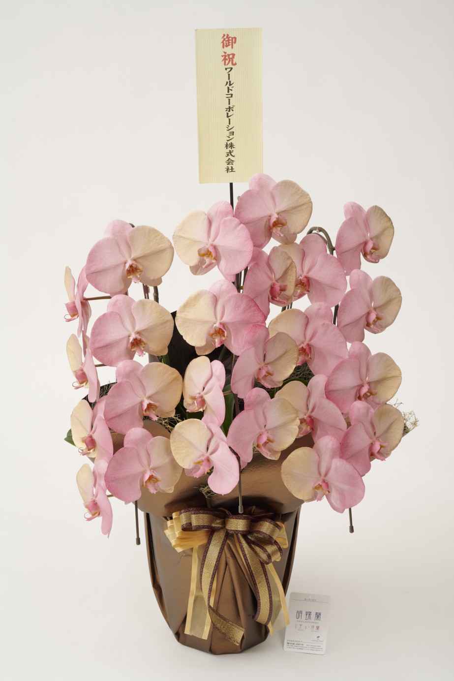 <p>胡蝶蘭大輪商品には、無料で立札またはメッセージカードをお付けしております。</p>