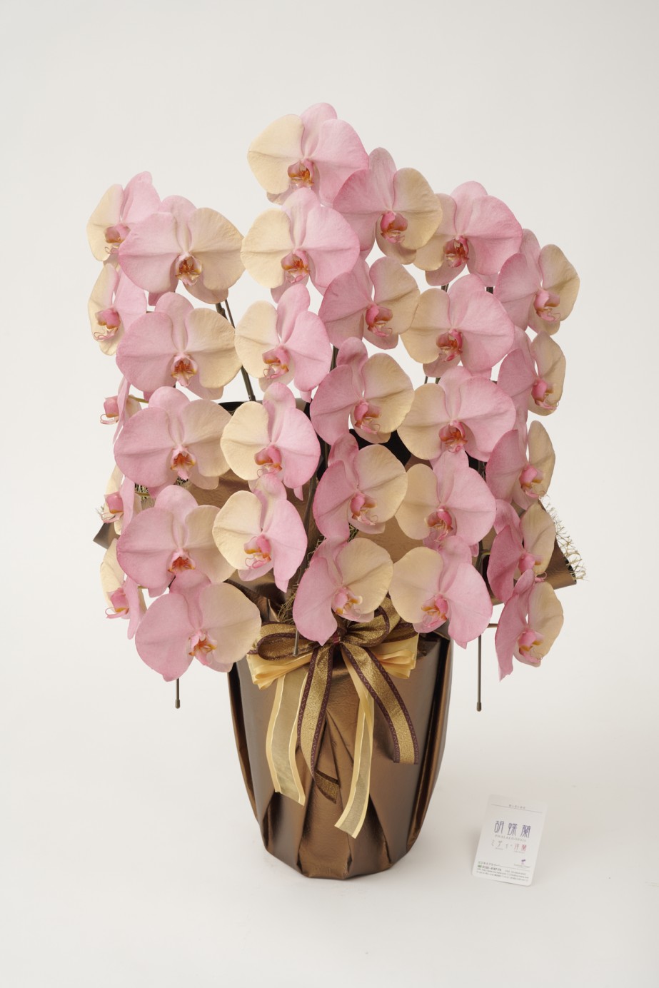 <p>花びらに塗装を施している為、お届け時点が最高の咲き誇り時期、見頃の状態となっているのが魅力的で、開店祝い、開業祝い、就任祝いなどのお祝い花として人気があります。</p>