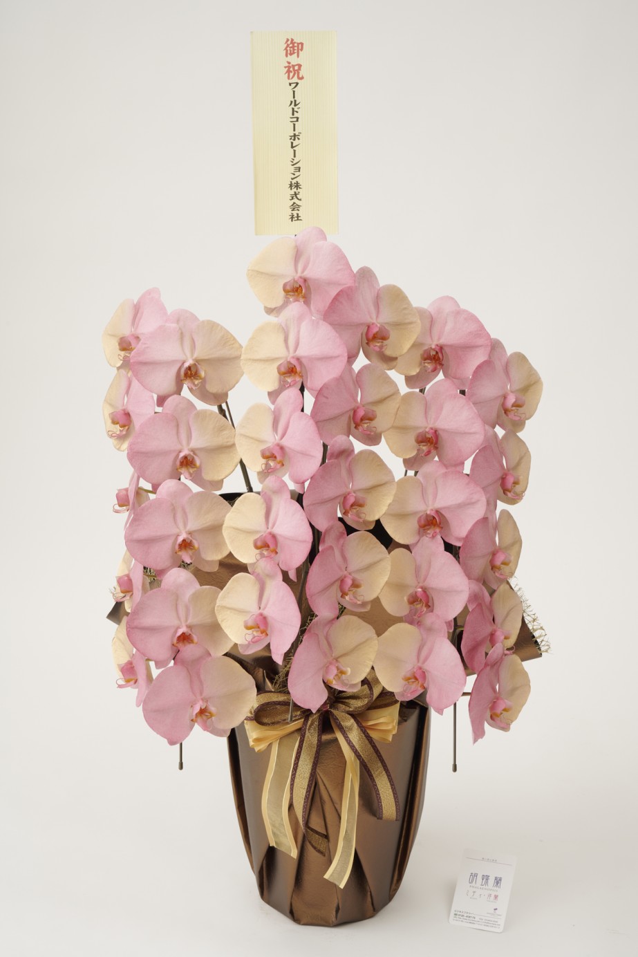 <p>胡蝶蘭大輪商品には、無料で立札またはメッセージカードをお付けしております。</p>